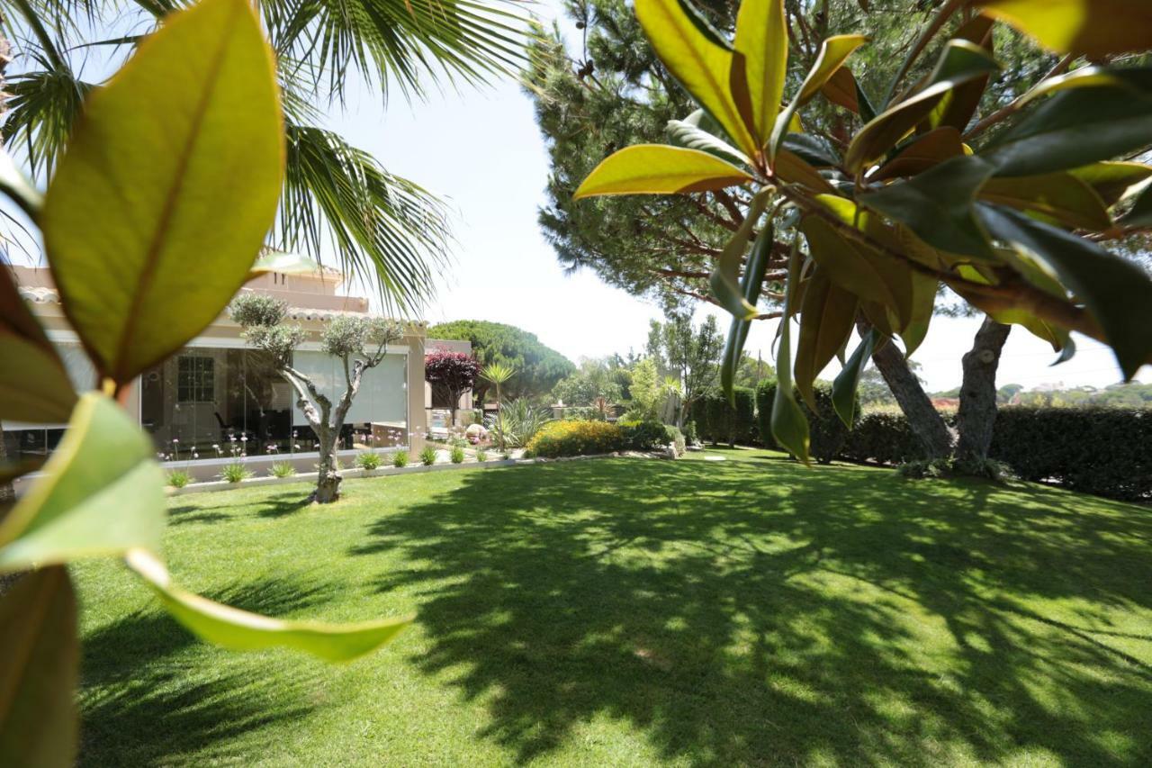 Quinta Do Pinheiro Manso - Holidays Villa - Marinha Beach Carvoeiro  Bagian luar foto