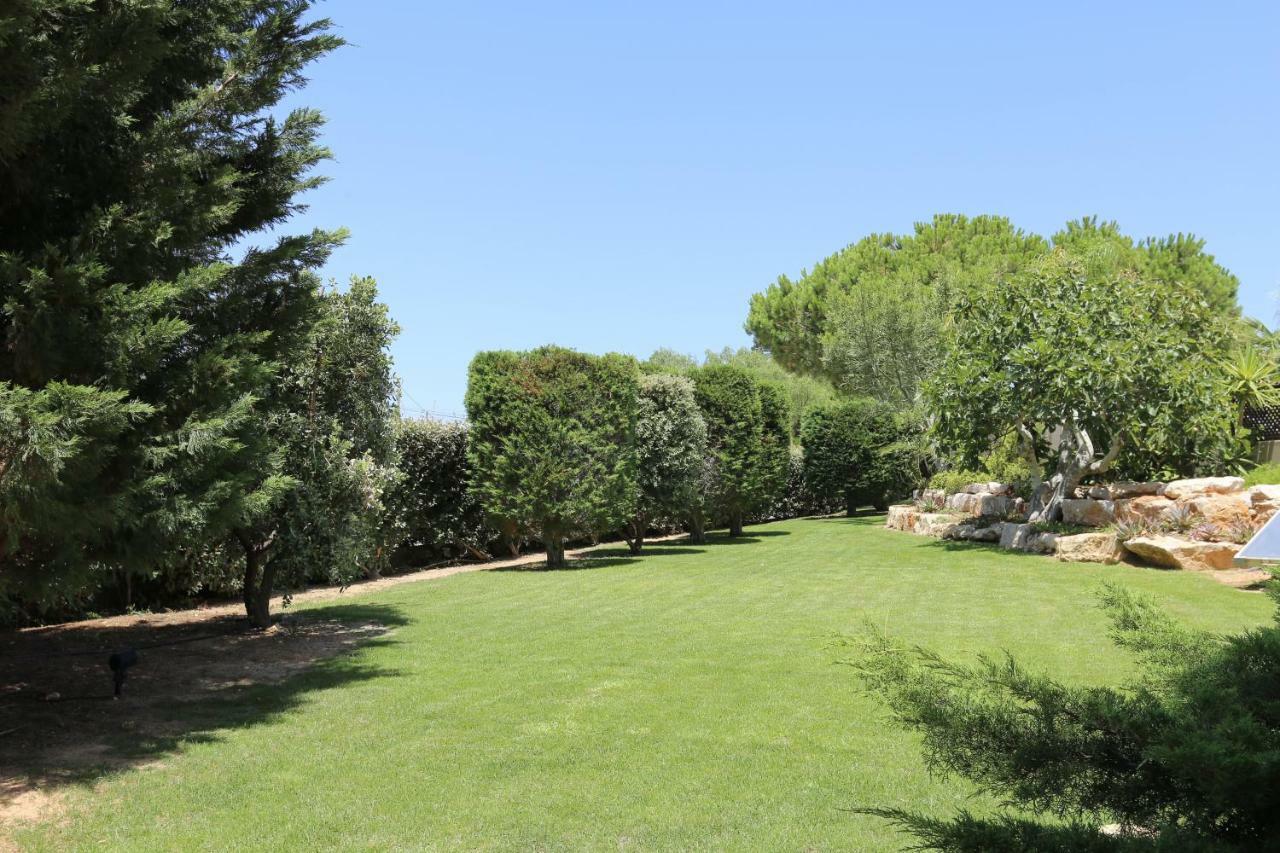 Quinta Do Pinheiro Manso - Holidays Villa - Marinha Beach Carvoeiro  Bagian luar foto