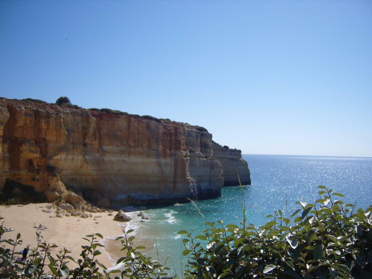 Quinta Do Pinheiro Manso - Holidays Villa - Marinha Beach Carvoeiro  Bagian luar foto