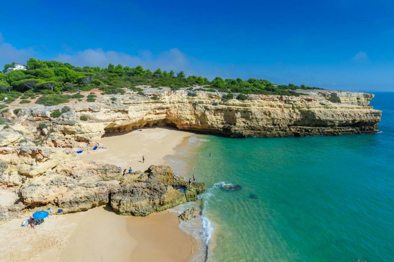Quinta Do Pinheiro Manso - Holidays Villa - Marinha Beach Carvoeiro  Bagian luar foto